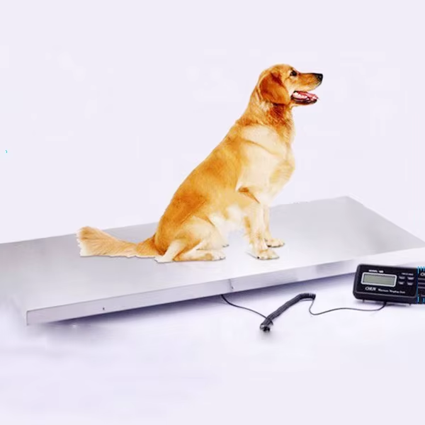 Veterinary Patient Scale - 400 lbs