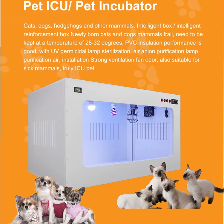 Feline incubator