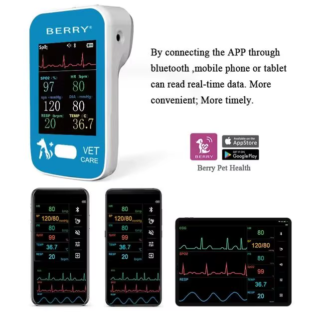 Berry Handheld Patient Monitor